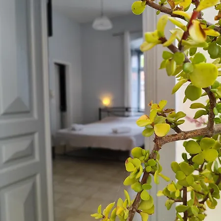 Sidra Guest house