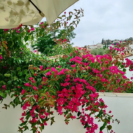 Sidra Guest house *
