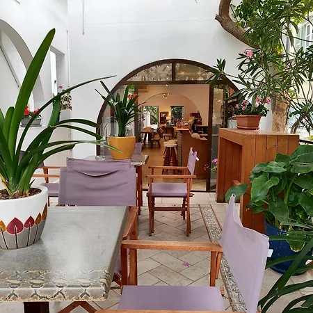 Guest house Sidra